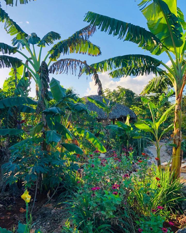 Guaiguei Bayahibe Villa Eksteriør bilde