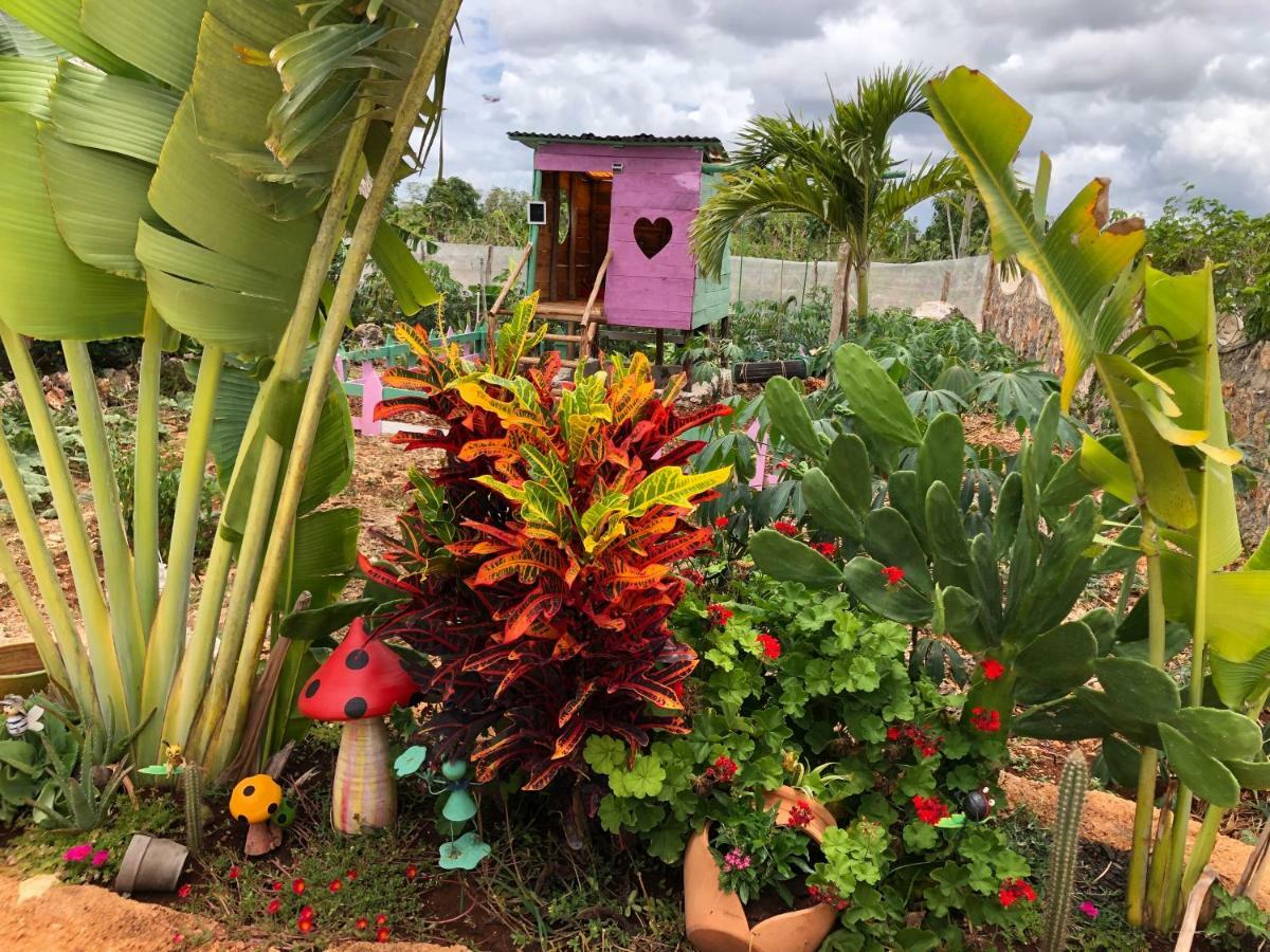 Guaiguei Bayahibe Villa Eksteriør bilde